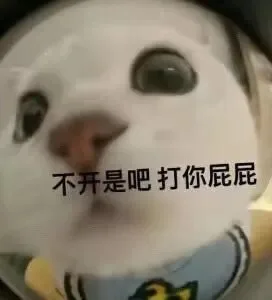 不开是吧打你屁屁（不开是吧打你屁屁）