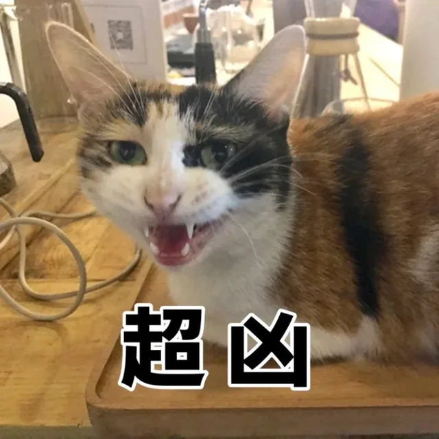 超凶（猫咪）（超凶（猫咪））