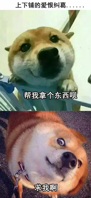 上下铺的爱恨纠葛帮我拿个东西呗求我啊