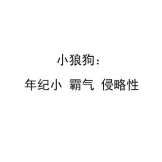 犬系男孩、猫系女孩 了解一下表情包