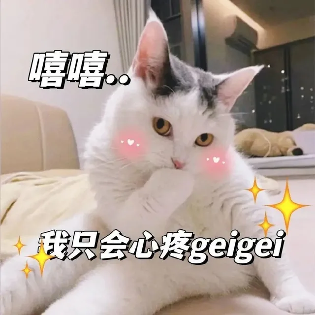 捂嘴笑骚猫表情包