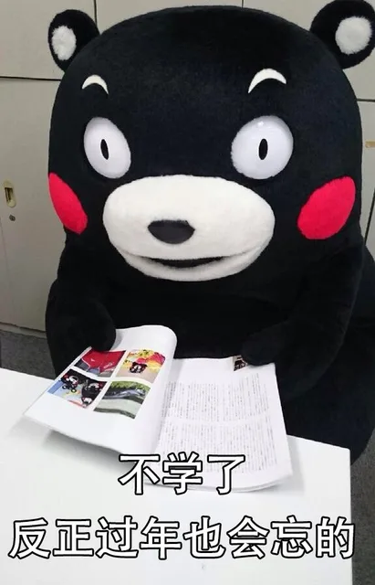不学了 反正过年也会忘的（不学了 反正过年也会忘的）