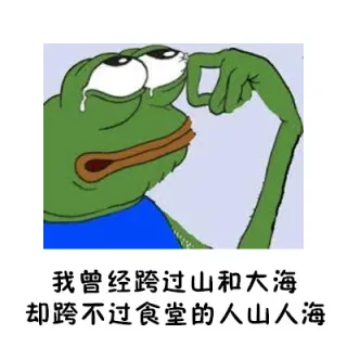 要开学了，又要开始面对食堂的问题了_sadfrog_绿青蛙表情包