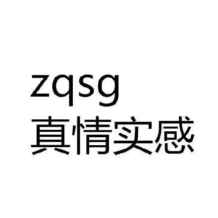 ZqSg：真情实感（ZqSg：真情实感）