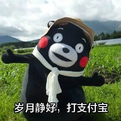 岁月静好，打支付宝（岁月静好，打支付宝）