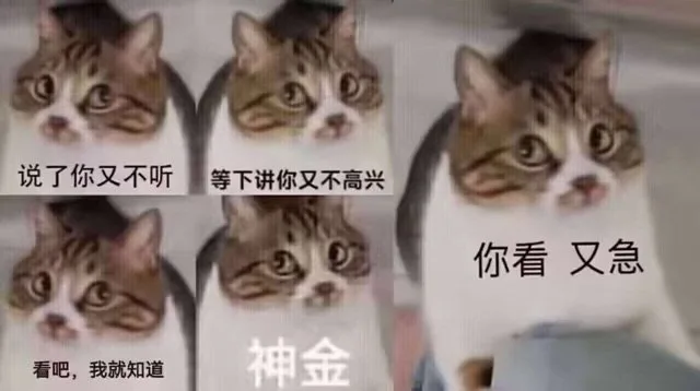 说了你又不听等下讲你又不高兴你看又急看吧，我就知道神金（说了你又不听等下讲你又不高兴你看又急看吧，我就知道神金）