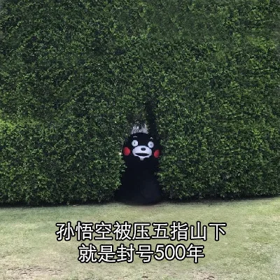 孙悟空被压五指山下就是封号500年（孙悟空被压五指山下就是封号500年）