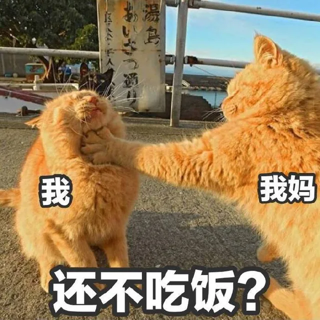 我妈锁喉我：还不吃饭？（我妈锁喉我：还不吃饭？）