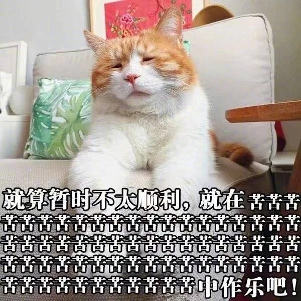 就算暂时不太顺利，就在苦苦苦苦中作乐