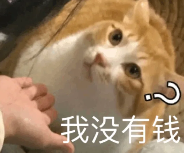 我没有钱（我没有钱）