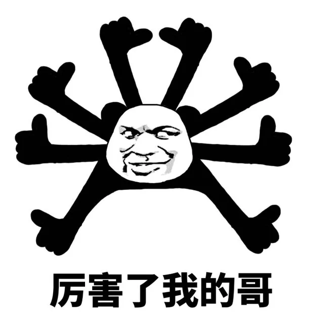 厉害了我的哥！（厉害了我的哥！）