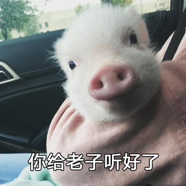 你给老子听好了（你给老子听好了）