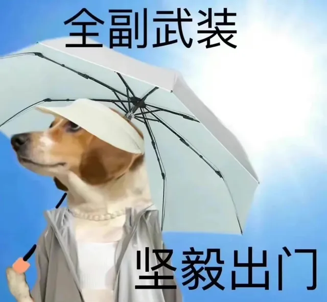 全副武装坚毅出门（全副武装坚毅出门）