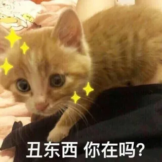 一波猫咪表情包_猫_喵星人_萌萌哒表情包