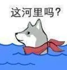 这合理吗 / 这河里吗表情包_沙雕表情包