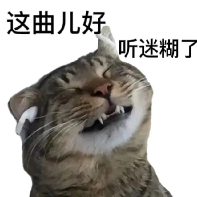 这曲儿好听迷糊了（这曲儿好听迷糊了）