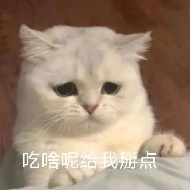 吃啥呢给我掰点（吃啥呢给我掰点）