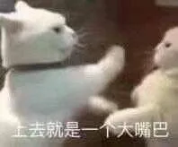 上去就是一个大嘴巴（上去就是一个大嘴巴）