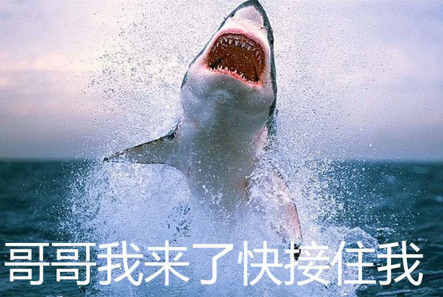 哥哥我来了快接住我