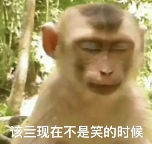 该三现在不是笑的时候(吗喽表情包)（该三现在不是笑的时候(吗喽表情包)）