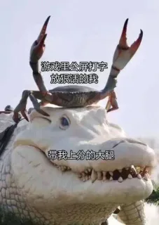 近期斗图表情包精选-2019/9/21表情包