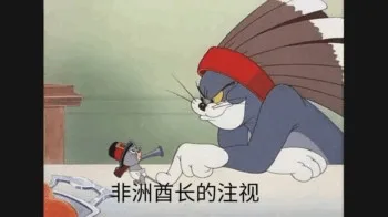 一非洲酋长的注视