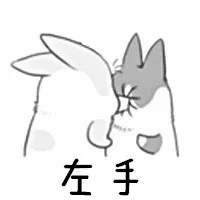 左手