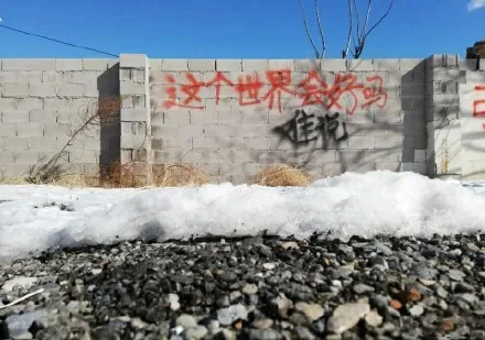 涂鸦/标语