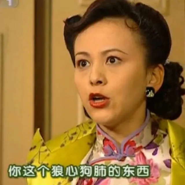 雪姨：你这个狼心狗肺的东西！（雪姨：你这个狼心狗肺的东西！）