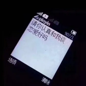请你认真和我谈恋爱好吗
