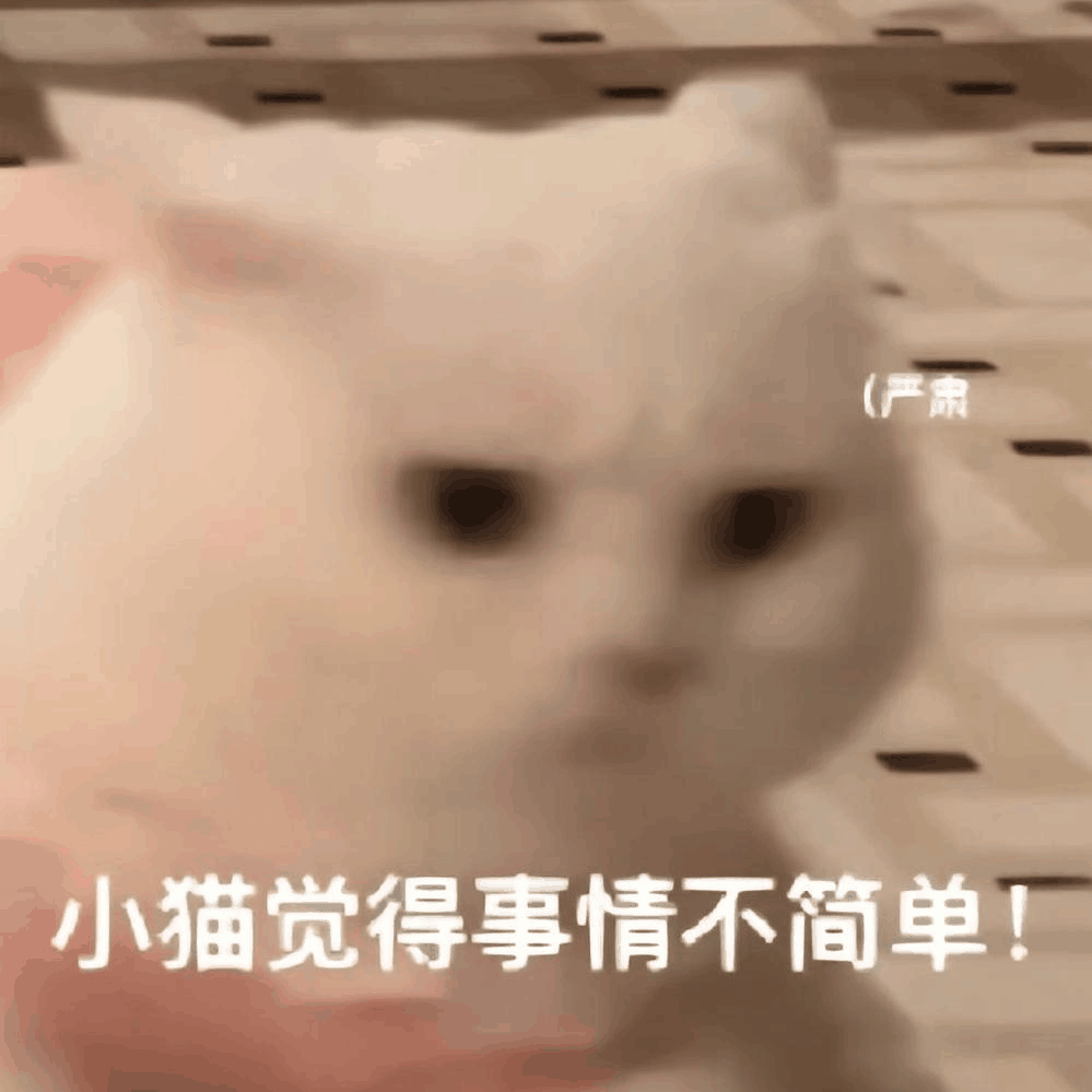 (产肃小猫觉得事情不简单！（(产肃小猫觉得事情不简单！）