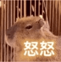 怒怒（怒怒）