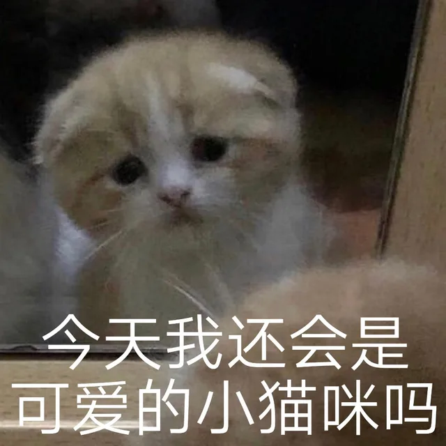 今天我还会是可爱的小猫咪吗（今天我还会是可爱的小猫咪吗）