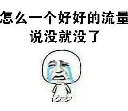怎么一个好好的流量说没就没了