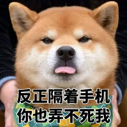 反正隔着手机你也弄不死我