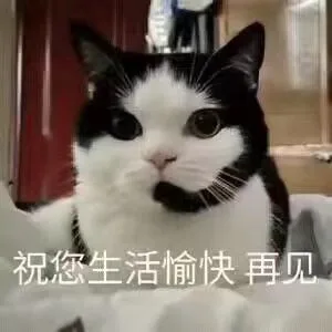 祝您生活愉快再见（祝您生活愉快再见）