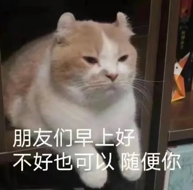 实用聊天表情包合集表情包