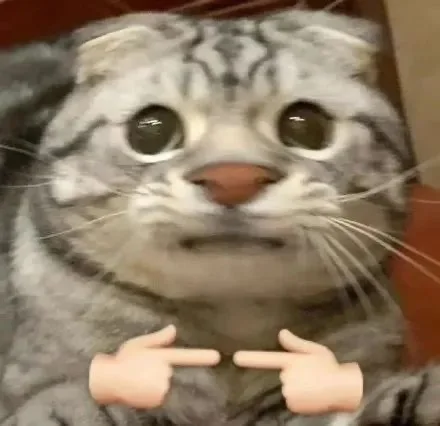 猫猫狗勾揣手手