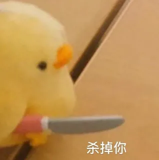 孙一宁王思聪聊天表情包