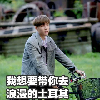 张艺兴极限挑战表情包_张艺兴_极限挑战_明星表情_影视表情