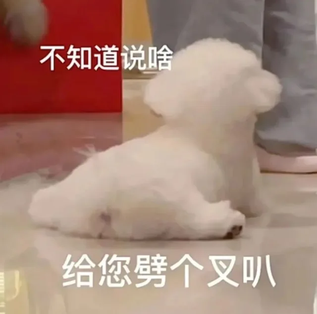 不知道说啥给您劈个叉叭（不知道说啥给您劈个叉叭）