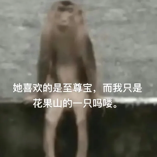 她喜欢的是至尊宝，而我只是花果山的一只吗喽。（她喜欢的是至尊宝，而我只是花果山的一只吗喽。）