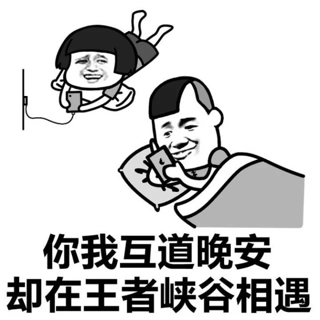 你上不了王者的理由是什么表情包