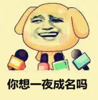 你想一夜成名kccg？