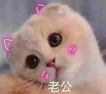 老公