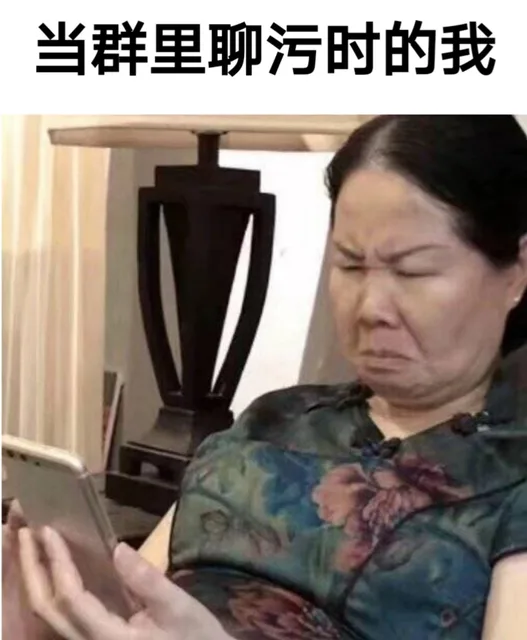 当群里聊污时的我