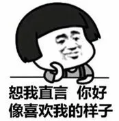 恕我直言，你好像喜欢我的样子（恕我直言，你好像喜欢我的样子）