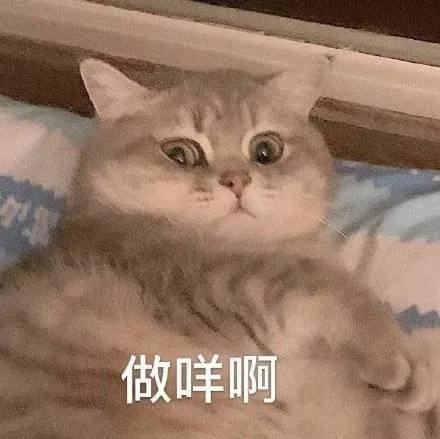 做咩啊（做咩啊）