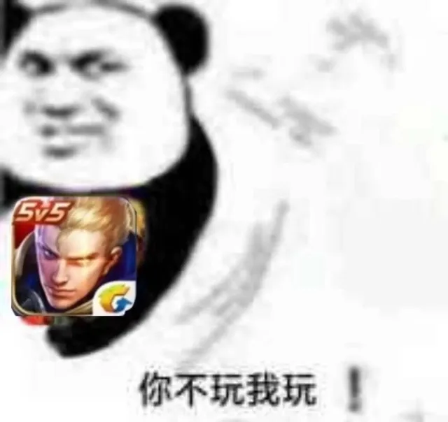 你不玩我玩