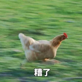即将开学的你（飞奔的鸡）表情包